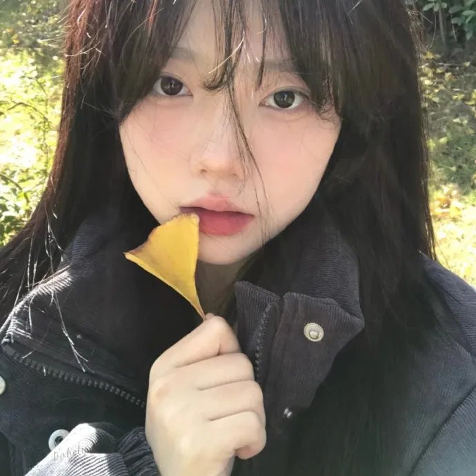 黑暗地平线